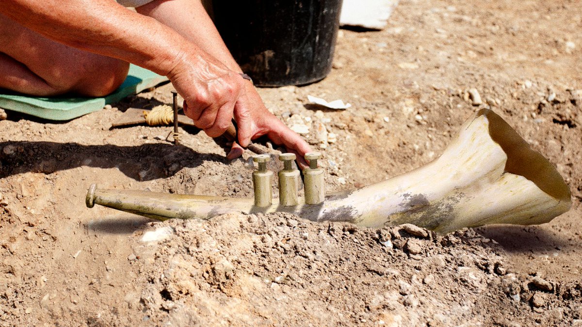 TheOnion's tweet photo. Archaeologists Unearth Ivory Trumpet Dating Back To Prehistoric Jazz Age https://t.co/AHSTp79e4t https://t.co/QymSGLD9wv