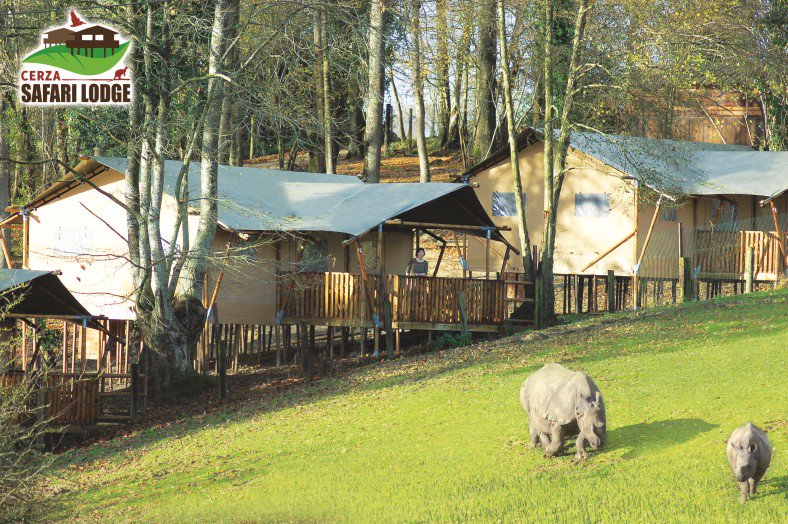 Glamping4all.com tweet media