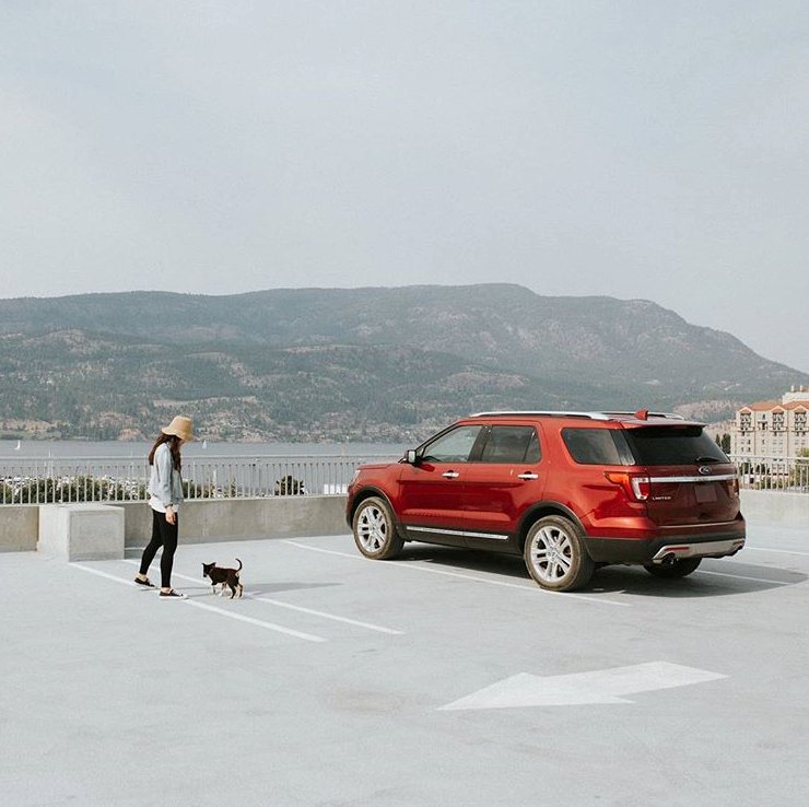 FordProgressive's tweet photo. This is more than puppy love. #FordExplorer https://t.co/9lA5PWwjiQ