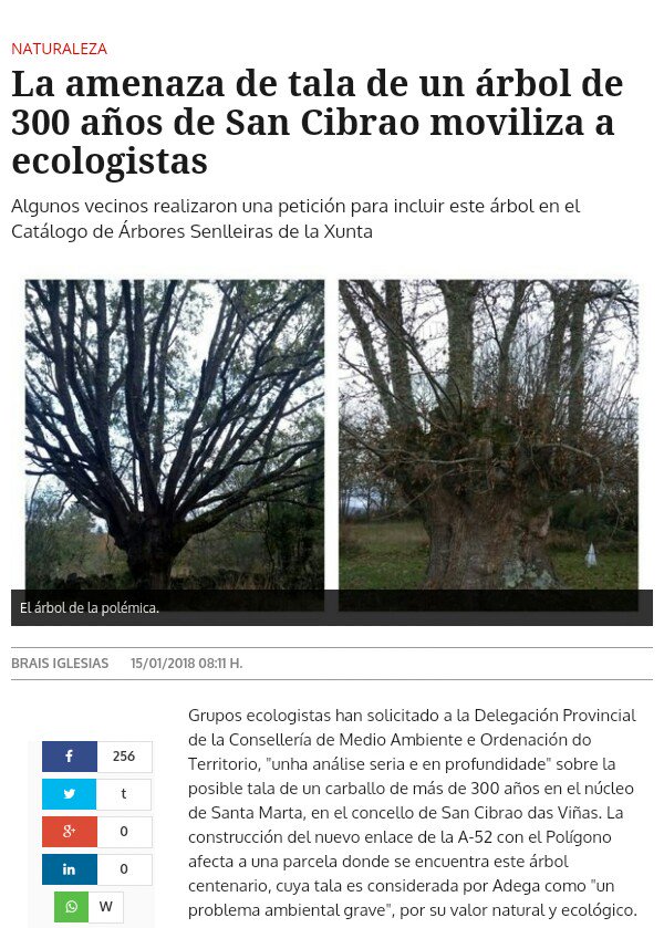 verukawww's tweet photo. .@MVTARDE @laSextaTV En San Cibrao das Viñas, @Xunta quiere talar árboles centenarios. Los vecinos luchan x impedirlo
#Galicia #SaveTheRoble https://t.co/bhqs6R1FfP