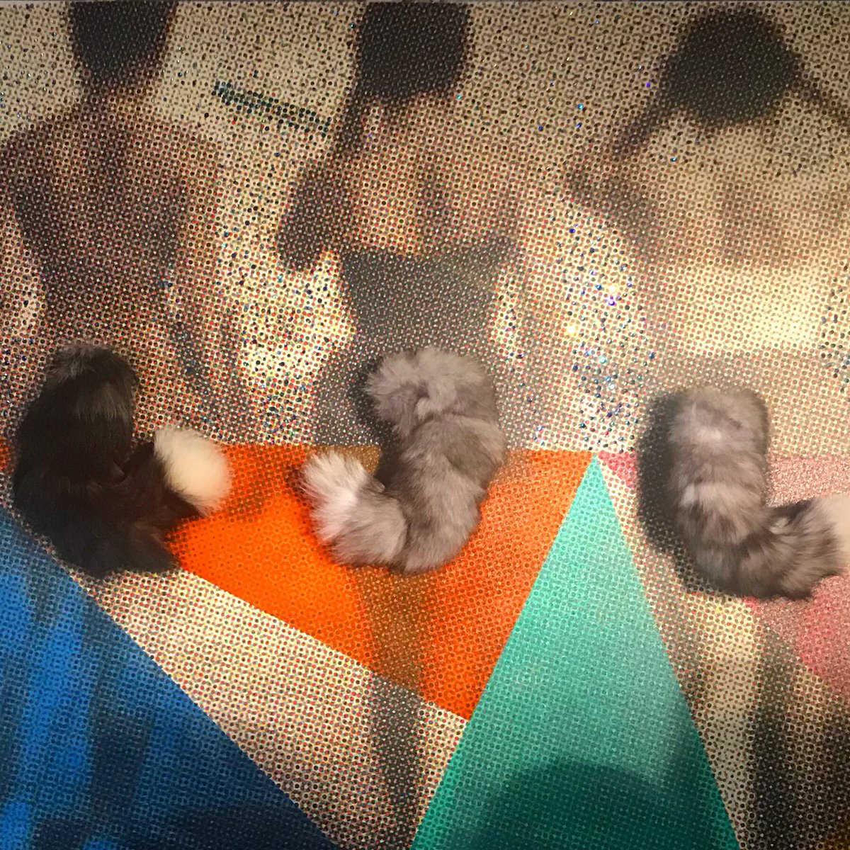 DecodedStyle's tweet image. Don’t forget to fluff your tail! Happy FriYAY!!! #weekend #FridayFeeling #EnjoyYours