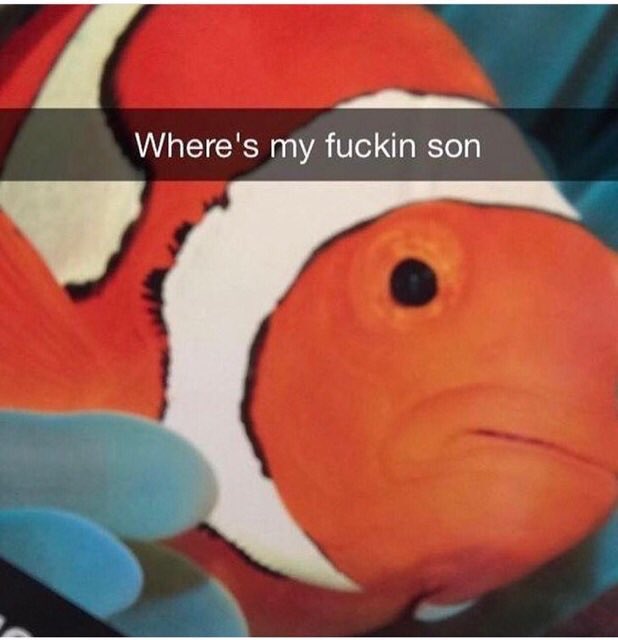 King Henry VIII to his wives