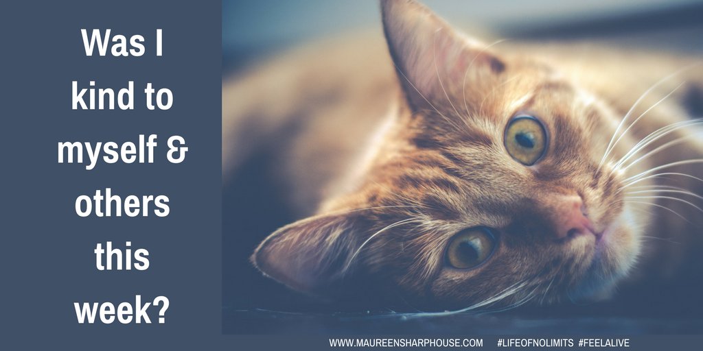 m_sharphouse's tweet photo. Was I kind to myself & others this week? #reflectivequestion #lifeofnolimits #feelalive #maureensharphouse #lifecoach #mentor #nlp https://t.co/ClddferJ2J