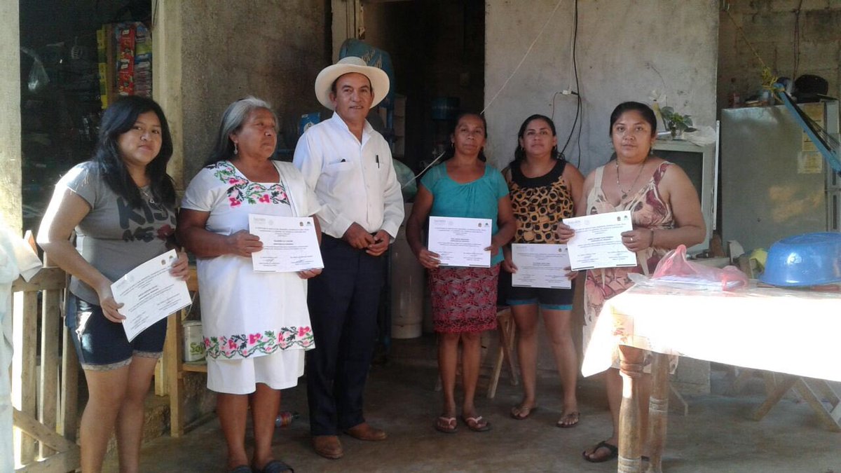 henrycastron's tweet photo. Curso Transferencia de panales de jobón a caja de madera. Abeja Melipona. Pozo Pirata y San Carlos JMM #INCARural #SENACATRI @incarural QUINTANA ROO @linosma https://t.co/SQlk5Vm409