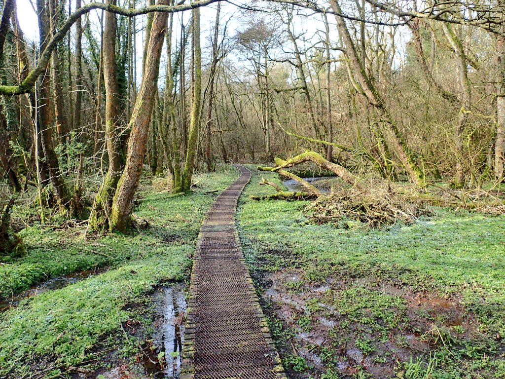 HNEscapes's tweet photo. #Woodland #walk at #Consall, #Staffordshire with Friends with Human-Nature
Loved the curves in this walkway!
#NatterInNature #TakeNotice #StaffsSnaps #nature #walking https://t.co/5dkpMpgc1K