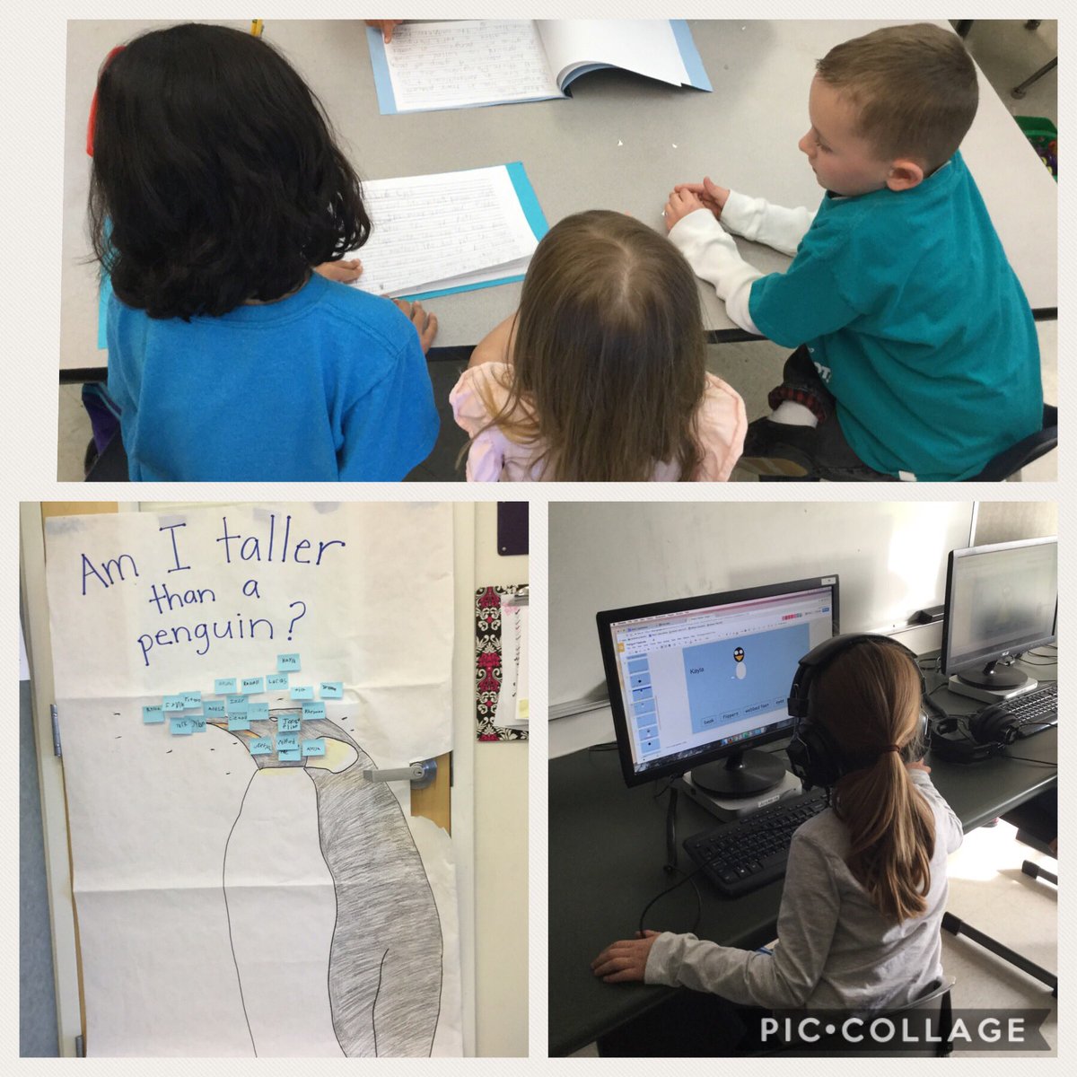 TeachKMrsRyan's tweet photo. Last week we learned all about Penguins! We made penguins and labels their features in Google and saw how tall we are compared to an emperor penguin. First Grade was learning about penguins, too and read us their books. #RCSDChampions https://t.co/QH3eF00uSb