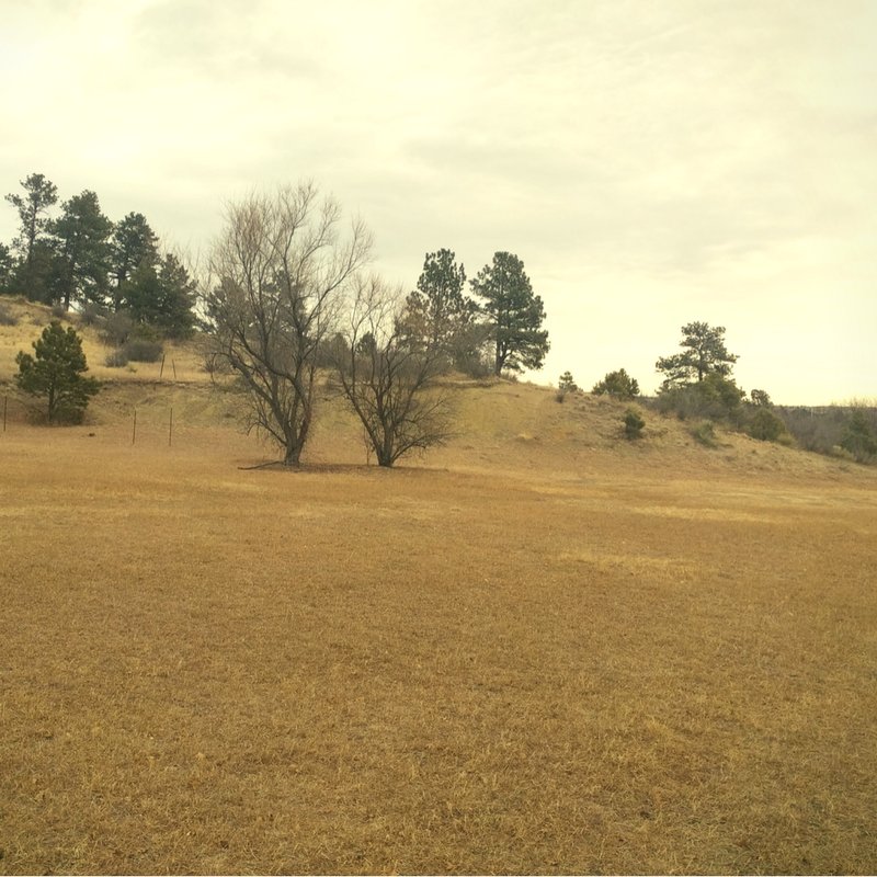 We love site visits! It's always a blast seeing the "before" and "after".