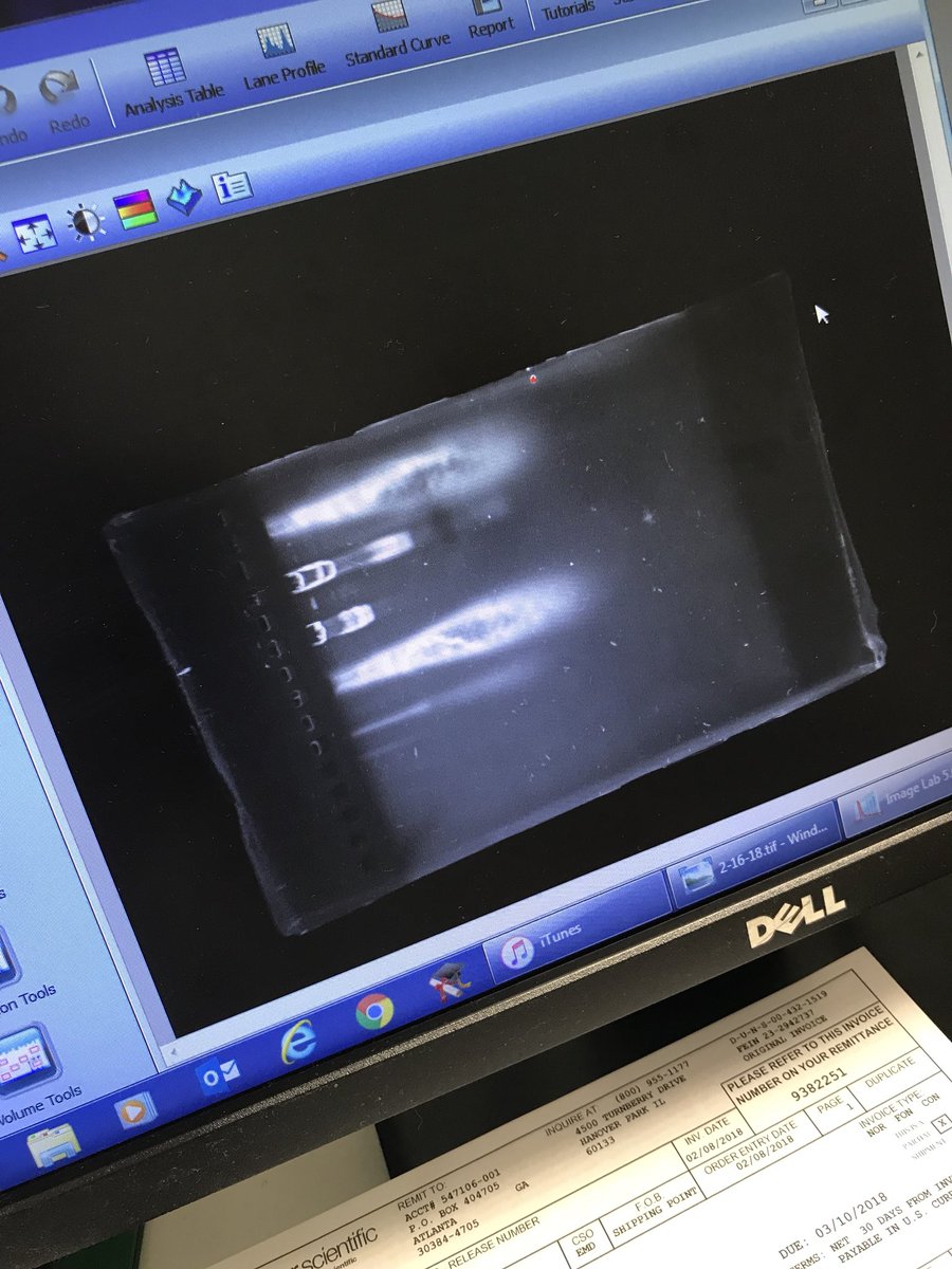 miagoodwinscr19's tweet photo. #wemakescience @pacehighbiotech https://t.co/GPCUX9YzBB