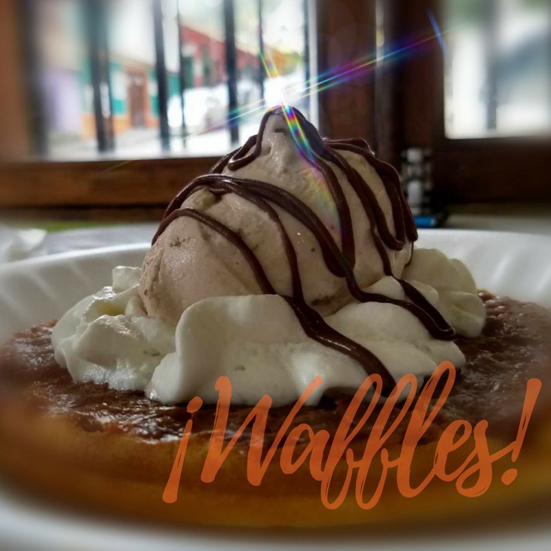 ¿Ya conocen nuestro waffle de arequipe con helado artesanal? Mmmm... cobertura de arequipe + porción de helado + crema chantilly ... ¡¡Delicioso!!

Hoy es un buen día para probarlo ❤️😎

(Imagen de <a href="/degusta_ve/">degustavenezuela</a>... ¡¡Gracias!!)