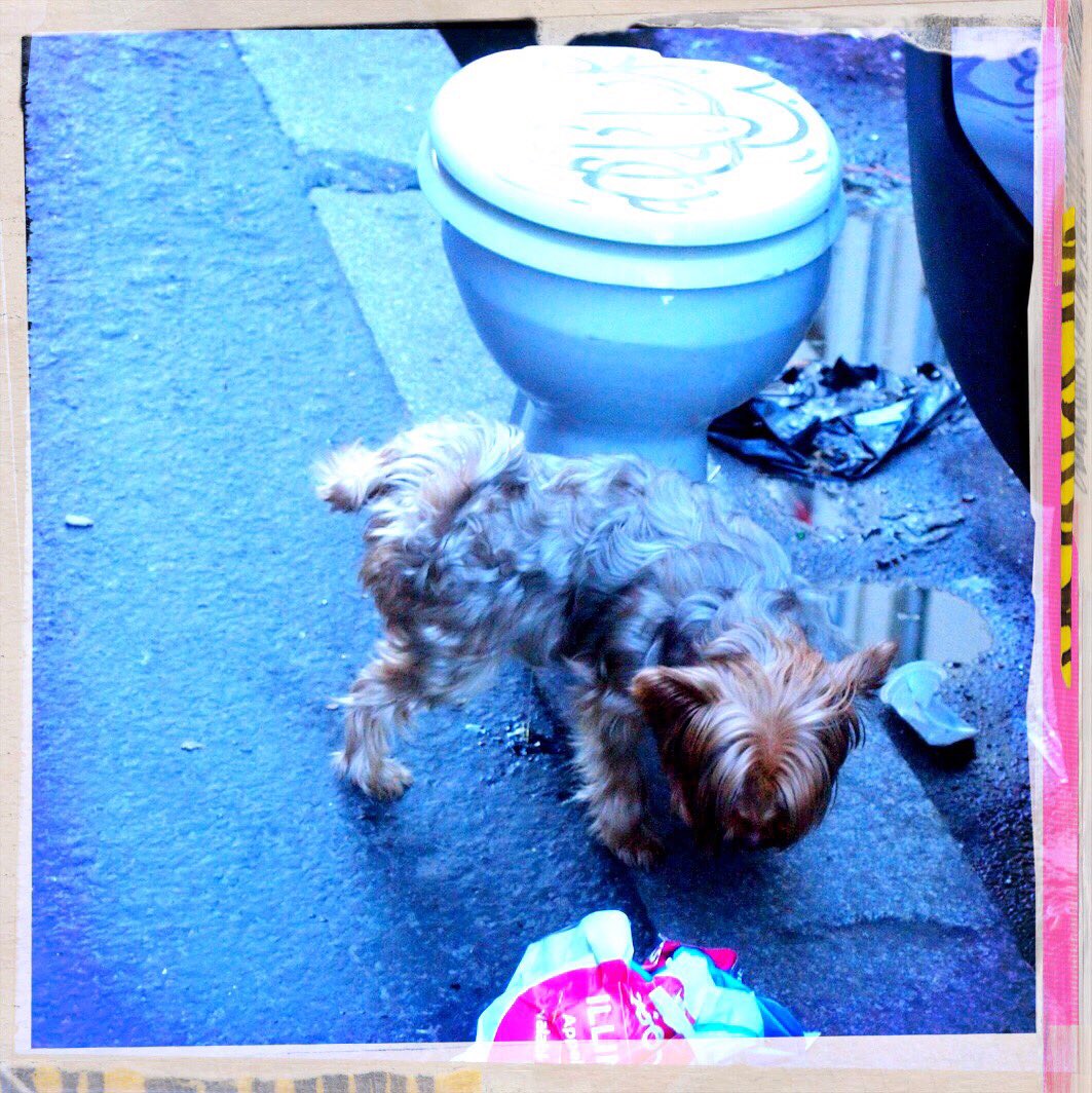 hah, pee #yearofthedog !
#chinesenewyear #cny #cny2018 #ilovepink #paris #serialpinklover #streetlife #streetphotography