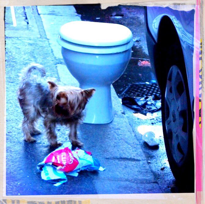 not only 4 poo(dles) !
#chinesenewyear #cny #cny2018 #ilovepink #paris #serialpinklover #streetlife #streetphotography #yearofthedog