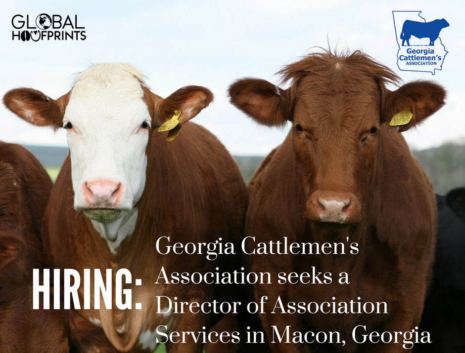 CharmayneRoams's tweet photo. #Hiring: @GA_Cattlemens is seeking a Director of Association Services to join their team in Macon, Georgia. #AgComm #AgJobs @AgGradNation 

Learn more and apply: https://t.co/7DQEzpZG0E. https://t.co/LZ2bh1C8ar