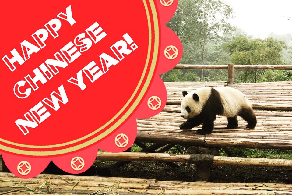 playologyintl's tweet photo. Happy Chinese New Year! Hope you get lots of red pocket :) #gongheifatchoy #cny #nyc https://t.co/STlQOQupFJ