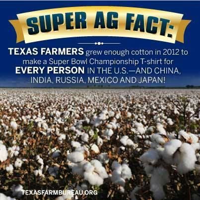 WillowridgeFfa's tweet photo. #FFAweek @Willowridge_HS https://t.co/NiAmgkBC8k