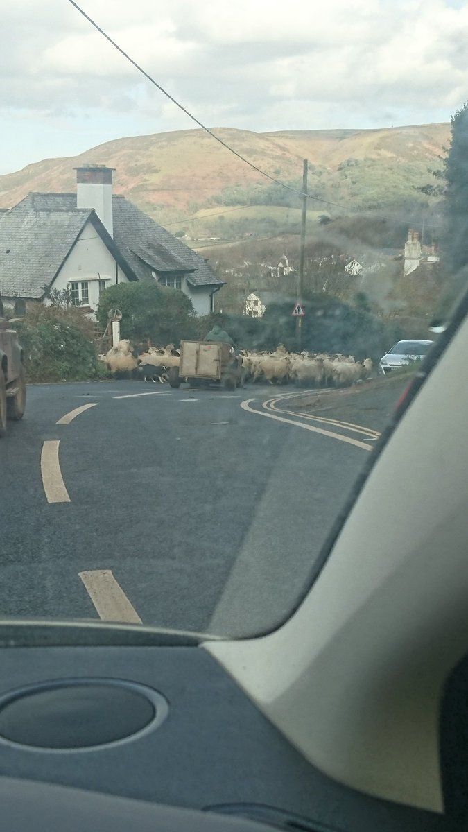 ohulme's tweet photo. Just what you need going down Porlock hill #somersetproblems https://t.co/crqygmHSVZ