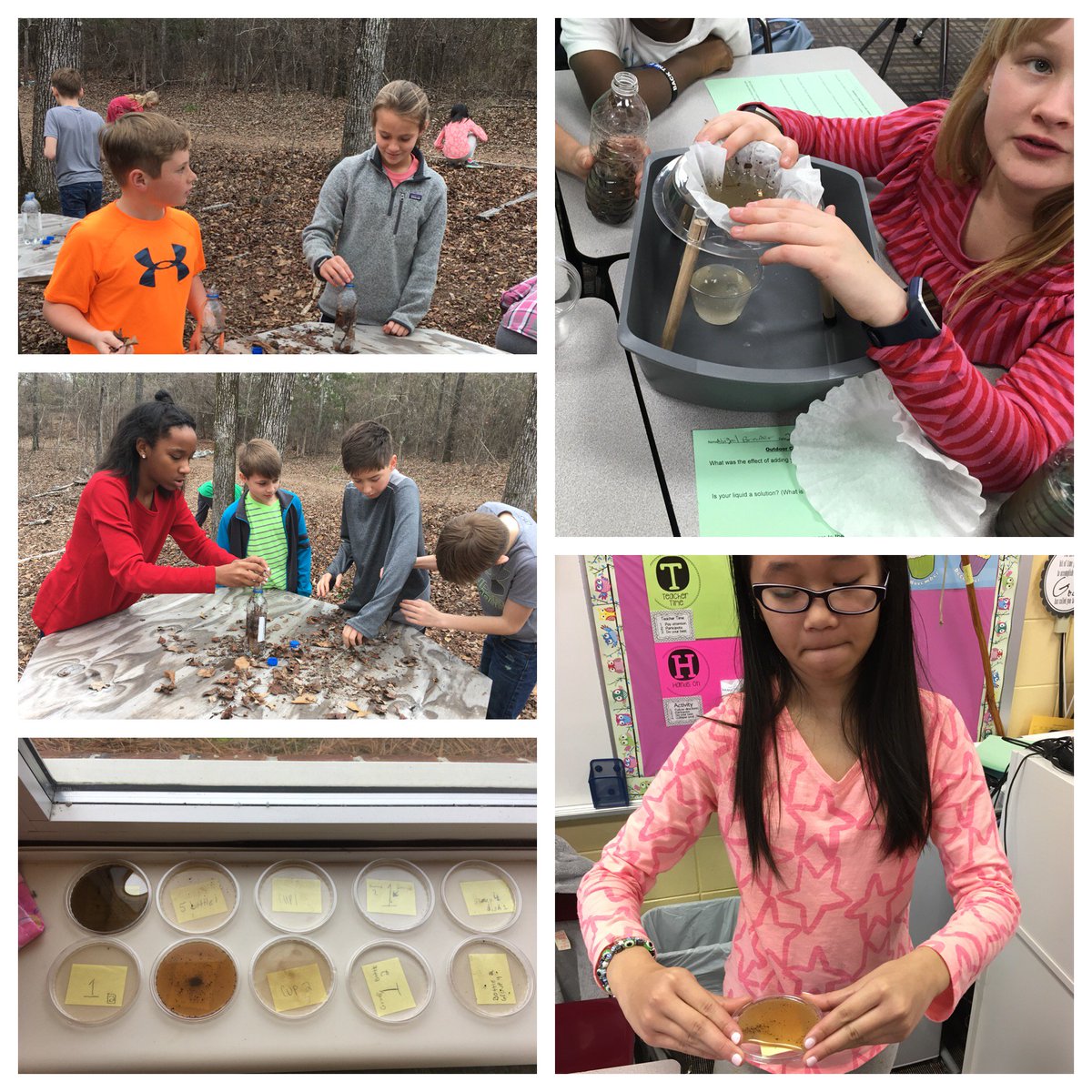 PCBOE's tweet photo. RT LESExplorersPC "Mrs. Smith’s 5th Grade students investigated outdoor materials to see which ones would dissolve in water. #SharePCS #explorersleadtheway https://t.co/y8oIehWOHo"