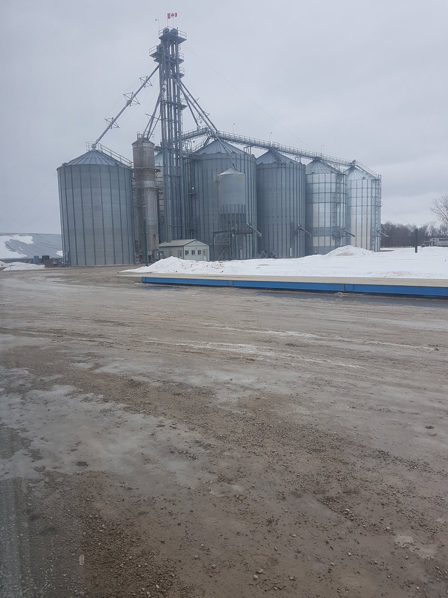 JobsonFarms's tweet photo. Thank you to all the Haggerty Creek Ltd. Staff! I've learned so much and have had plenty of laughter along the way, I had an awesome 5 years with this company. I'm off to my next adventure! https://t.co/La4M6Ntb9o