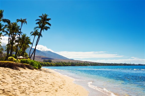 corcoranpacific's tweet image. According to some of our Maui agents, these are the best beaches on Maui. Did your favorite make the list? goo.gl/2B4E62 #elitepacificproperties #bestbeachesmaui #localinsight #islandinsight #elitelifestyle #livinginhawaii