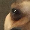 EOfromVA's tweet photo. testing something dont @ me https://t.co/WP8PjRCWr4