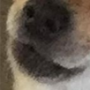 EOfromVA's tweet photo. testing something dont @ me https://t.co/WP8PjRCWr4