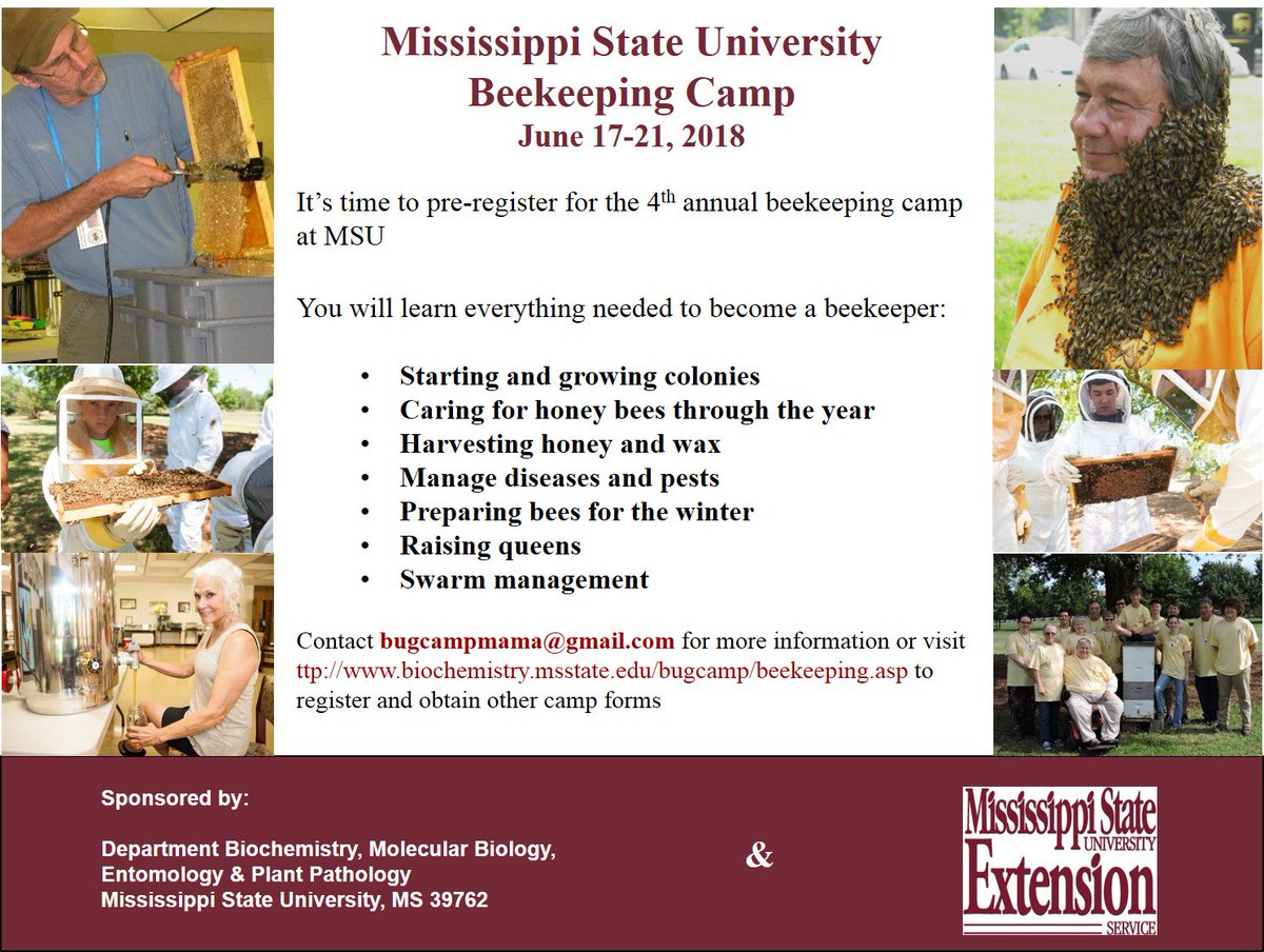 Got a kid with an interest in honey bees?  Check out our summer camp!