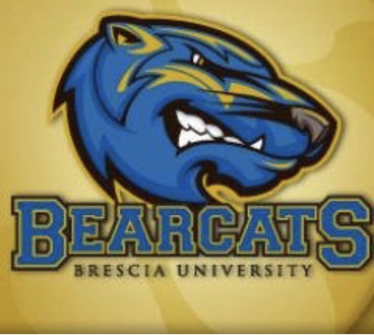 Blessed and excited to say I have verbally committed to play baseball at Brescia University @BresciaBaseball