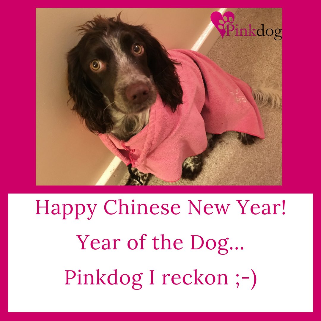 #happyfriday #happychinesenewyear #chinesenewyear #yearofthedog #sprocker