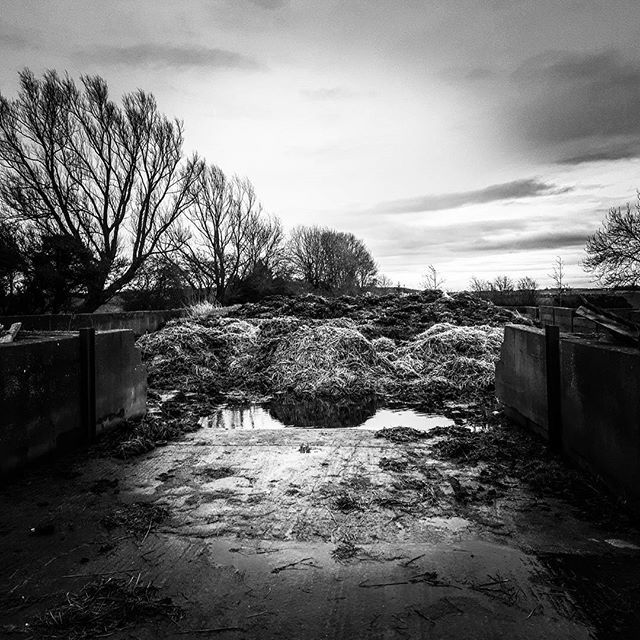 Cathalj's tweet photo. #benbeg #bullaun #silage #galway #blackandwhiteisworththefight #sunset #skyscape #farm #wanderlust #farmlife #instagood #instagramers #discoverireland #rememberireland #instanature #field #ireland #irlande #beautiful #irlanda #insta_ireland #inspireland_… https://t.co/NgOr62peUD https://t.co/emeiTMHzyd