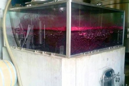 Estrella_Andes's tweet photo. ¿Pensaste alguna vez en ver en directo el proceso de fermentación de un vino? En #EstrellaDeLosAndes tenemos la única pileta de fermentación de vidrio. Veni a visitarla!!! https://t.co/JZCWYLpZV5