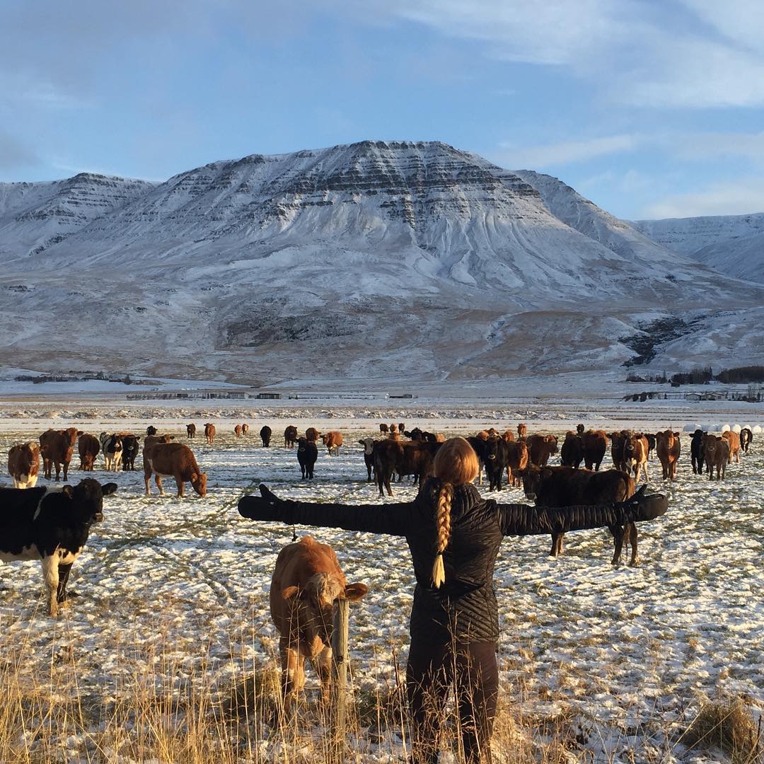 Wondering what the <a href="/avpbeach/">AVP</a> athletes are up to when they're not putting in work on the court? Catch up with your favorite athletes in #AVP's 'Life Outside Of A Bathing Suit' series. 👉🏼 avp.news/m3H6tx