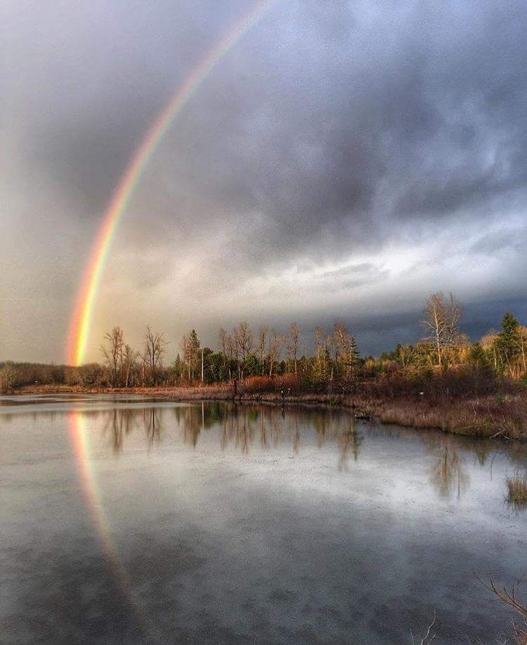 NeilDrysdale's tweet image. It’s not been the greatest of weeks, but at least there is no shortage of superb images to help raise the spirits. Hope you like these!