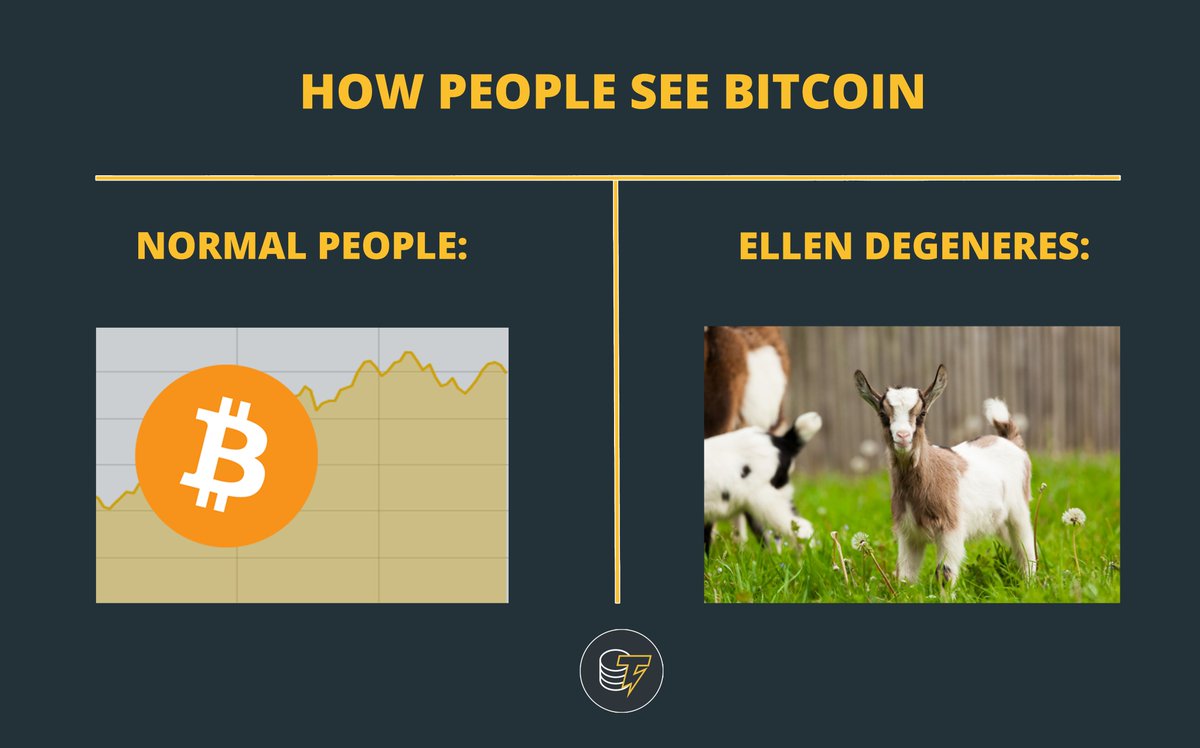 Ellen - ví dụ kỳ lạ về Bitcoin