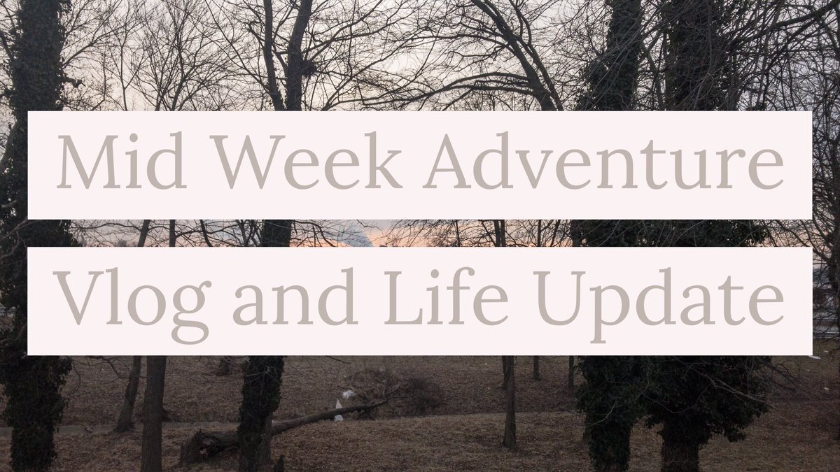 f_leylasherlock's tweet image. New #vlog is now up on my #YouTube channel. Please check it out and consider subscribing to my channel! #lifeupdate #smallyoutuber