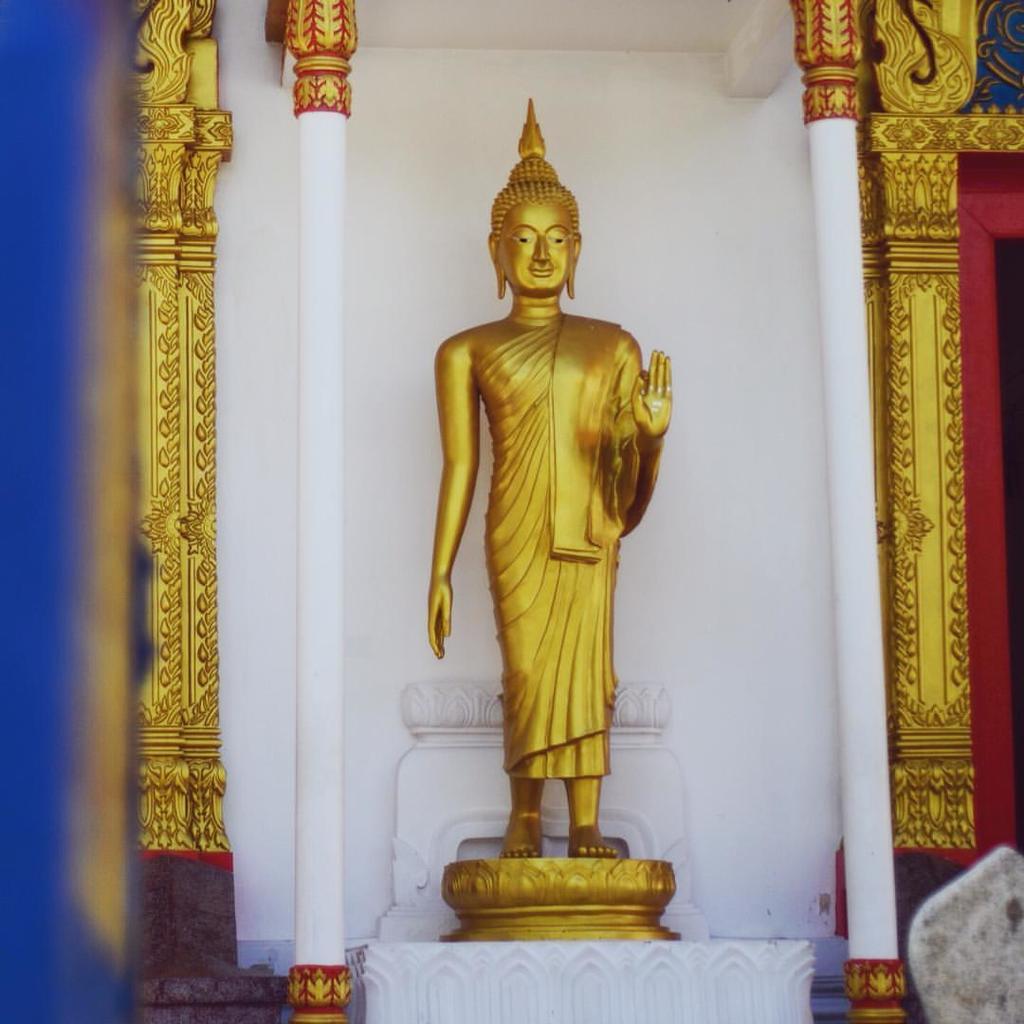 JackGunns's tweet photo. https://t.co/cU1MxUz8zPย-านเม-องเก-าภ-เก-จ ☀️ (at Phuket Old Town (ย่านเมืองเก่าภูเก็จ)) https://t.co/5hJPtuvQsd