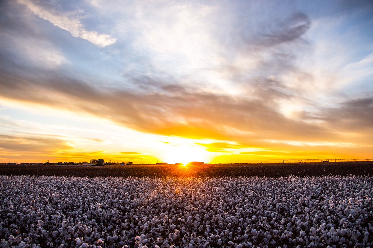 West Texas in one picture