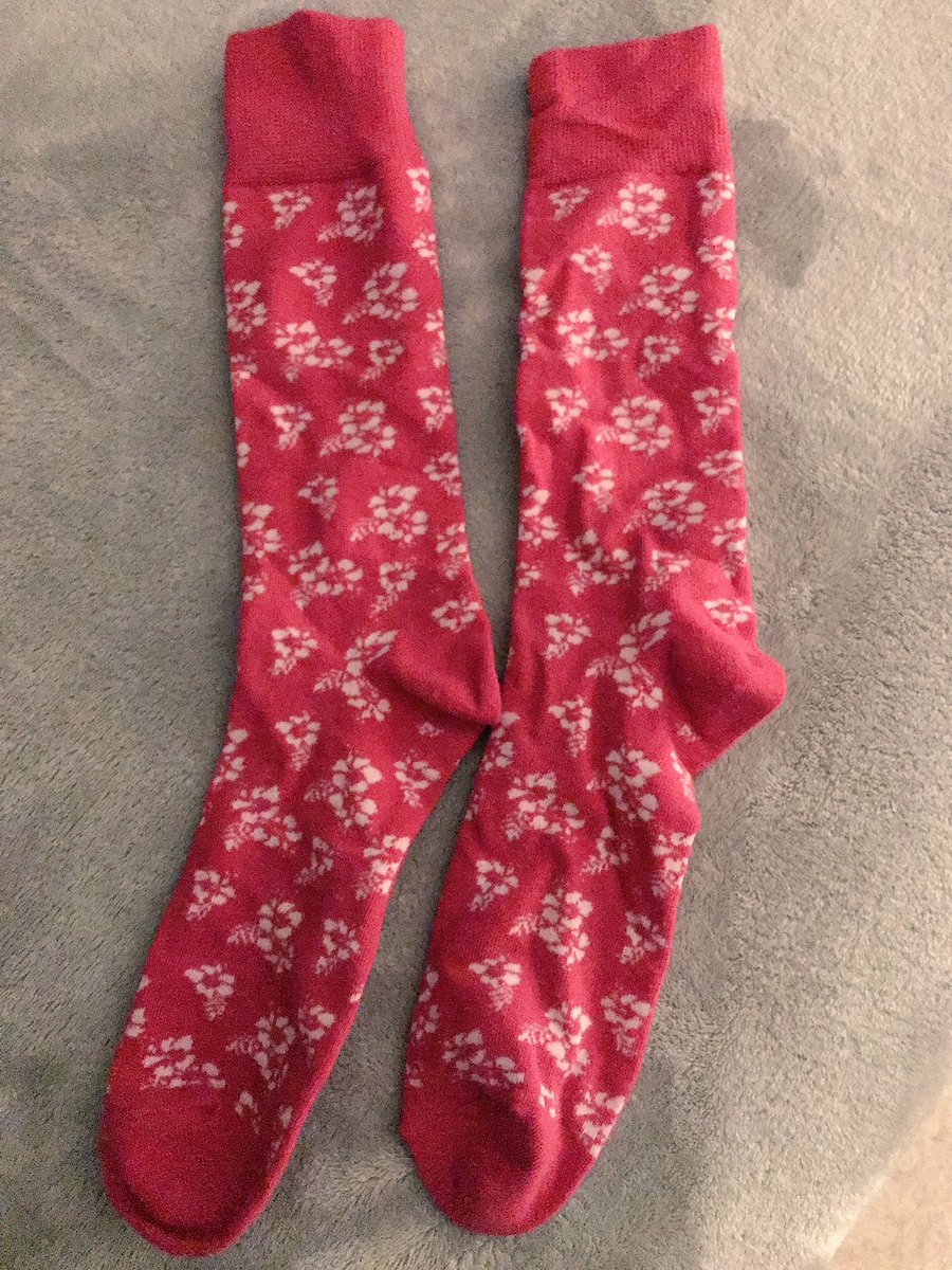 JKrimmel11's tweet photo. Ready with a #StrongSock game for tomorrow’s #ThinkPink @RedFlashWBB game! Raising money for a great cause...& be sure to not miss the #ThinkPink Push-Up Showdown put on by @SFU_SAMs_SAAC at halftime...the Push-Up Showdown has raised almost $20,000 in 6 years! 🎀 https://t.co/MsBz6zTJlz