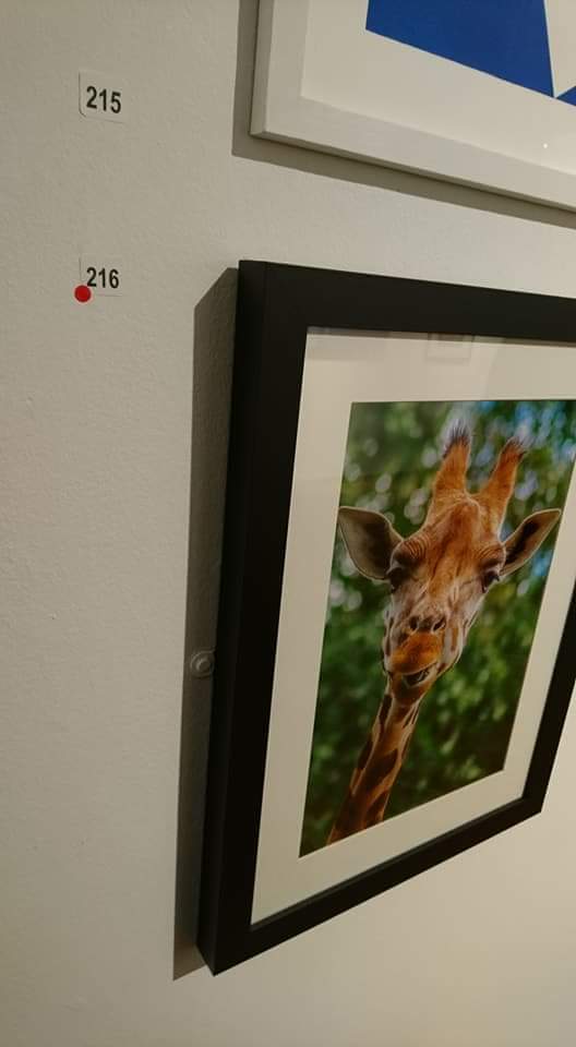Pixels_Paint's tweet photo. Well, super proud of the hubby! Pixels and paint sold both pieces of work in the Ferens exhibition within the first half hour!! ❤️ @HullFerens https://t.co/s1XaHgIKgF