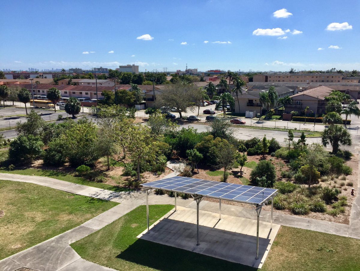 andrewkearns64's tweet image. Rooftop views of the ever evolving @josemartimast #nativearboretum! No recent rains but our native plants are doing well!😃🌿 #mast1718 #StudentCreated #StudentMaintained @FairchildGarden @STEMDesignation @MDCPSNorth @flawildflowers @fl_native_plant