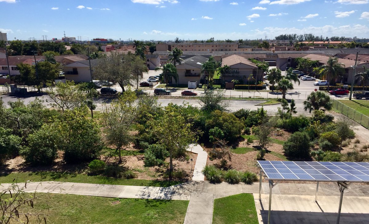 andrewkearns64's tweet image. Rooftop views of the ever evolving @josemartimast #nativearboretum! No recent rains but our native plants are doing well!😃🌿 #mast1718 #StudentCreated #StudentMaintained @FairchildGarden @STEMDesignation @MDCPSNorth @flawildflowers @fl_native_plant