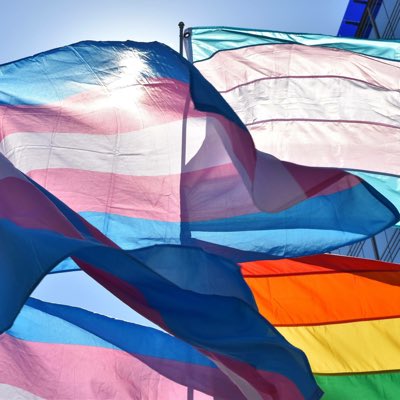 Have you heard about our new ethical campaign yet? More info to come... #TransRightsAreHumanRights