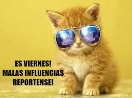 <a href="/RinDoris/">Doris ❤</a> <a href="/TerryField30/">Terry Field</a> <a href="/rixonlou/">SaintedAunt</a> <a href="/Judy_Cockerton/">Judy Cockerton🇺🇦🕊</a> <a href="/Tanja_Sanchez/">Tanja Sanchez 🇪🇸</a> @TammyDSanford3 @LekxiaAlbuquerk <a href="/LaurenVictorita/">LAUREN VICTORITA 방탄소년단</a> <a href="/DaisyLouTrain/">#DaisyLoͦͦͦͦͦͦͦͦͦͦͦu</a> <a href="/DUPONTBLUES/">monica dupont</a> <a href="/vron1234/">⭐Veronica⭐</a> <a href="/VanessaCte23/">Vanessa Cavalcante</a> @pandaesthic <a href="/QueenScesie/">Scesie</a> 🍹🍹😂