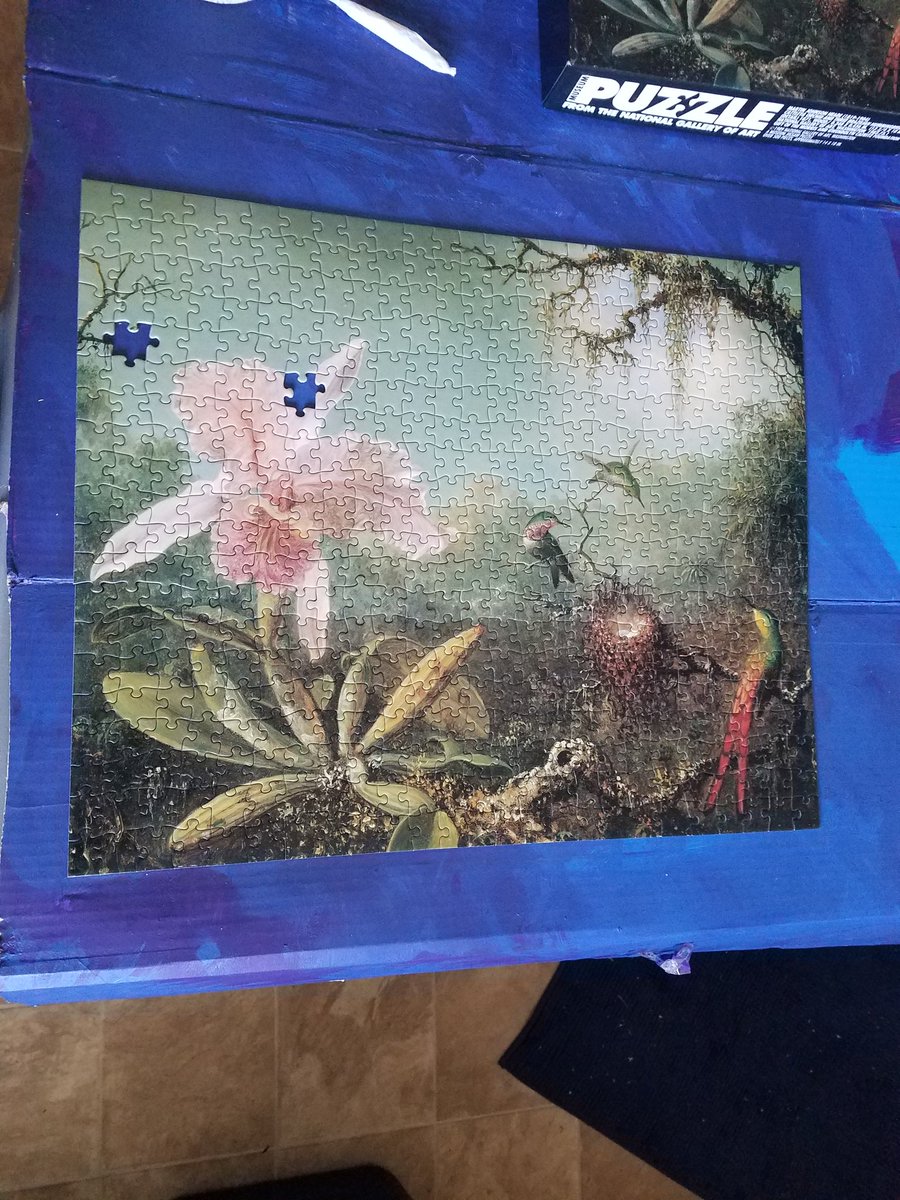 quelamai's tweet image. Done! #fornoreason