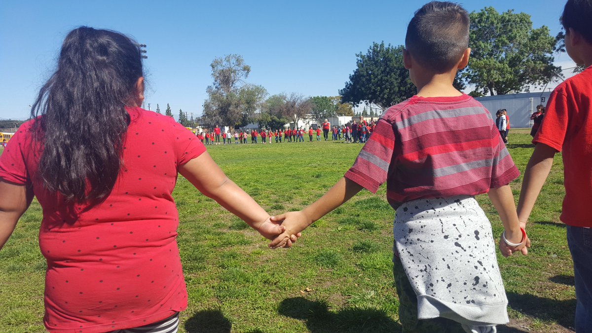 PacDriveInnov8's tweet photo. Happy #KindnessWeek from Pacific Drive! Thanks to everyone who came out to help with our culminating activities.  #KindnessTree #DroneHeart #fsdlearns https://t.co/XqcWyxKlGx