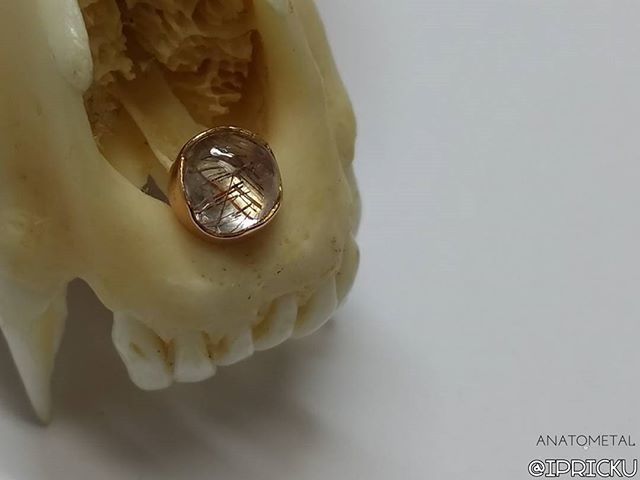 ipricku's tweet photo. 8 months later and I finally spoiled myself. Thanks @anatometalinc!  18k rose gold prong set rutilated quartz threadless end. .
.
.
.
#ipricku #statenisland #gold #anatometal #legitbodyjewelry #rutilatedquartz #asusphotography https://t.co/QhegwKJ8R4