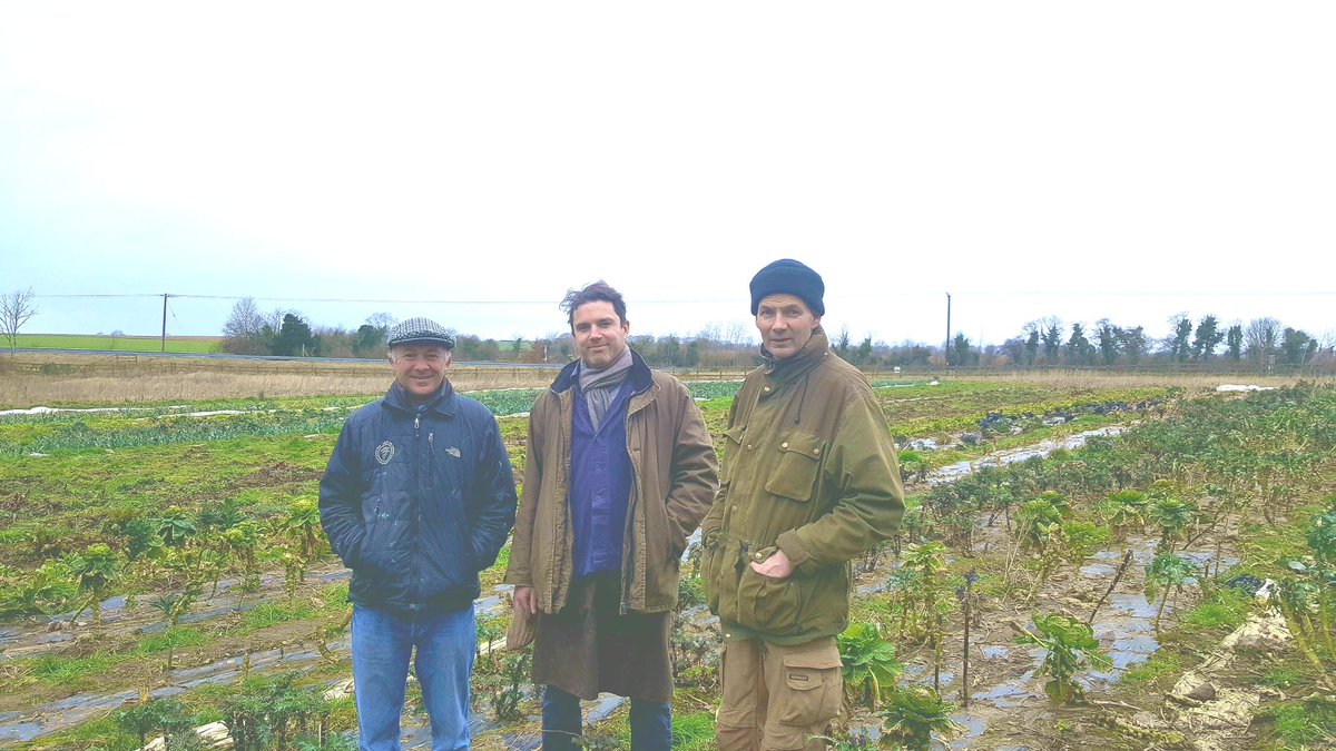 Preharvest site walk prior to the wood fired spring feast tomorrow evening at the greenbarn restaurant.   #vegcentric