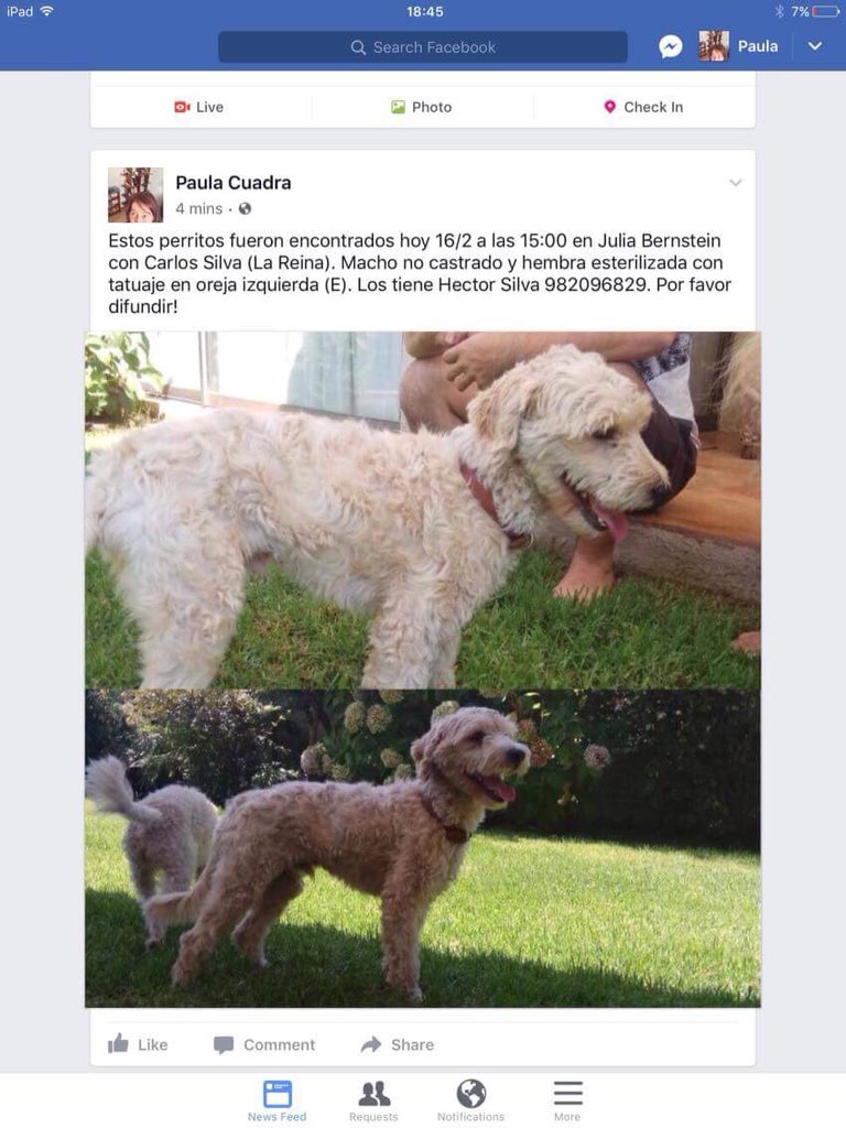PaulaTash's tweet photo. @bartorell por favor RT https://t.co/bUc3GnVRAR