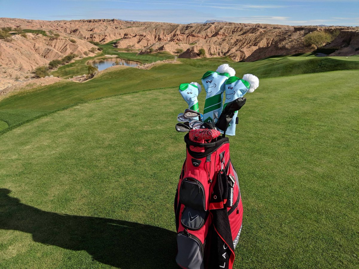 CrotasMinion's tweet photo. To celebrate the launch of the Etsy store, we are giving away a FULL SET of #meeseeks headcovers, plus two fairway wood headcovers! Just Retweet &amp; Follow to be entered to win! #MeeseeksGolf #Giveaway https://t.co/PjaoPTkPOr