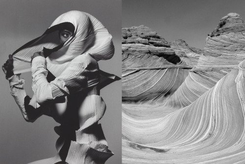 ShopTopDay's tweet photo. Match #407Issey Miyake Fall 1990 photographed by Irving Penn… https://t.co/jXcgyGuTwO #StyleUp #Jewelry #Fashion2015 #WomenFashion #WomenClothes #beauty #makeup #cosmetics #fashion https://t.co/jXcgyGuTwO https://t.co/72iIU2iL2d