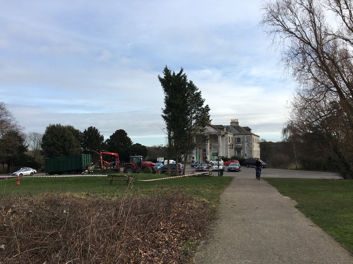 BeckenhamPlace1's tweet photo. Going...going...gone. #BeckenhamPlacePark why can’t we have trees in the park? @LewishamCouncil https://t.co/HVMaHnzAjk