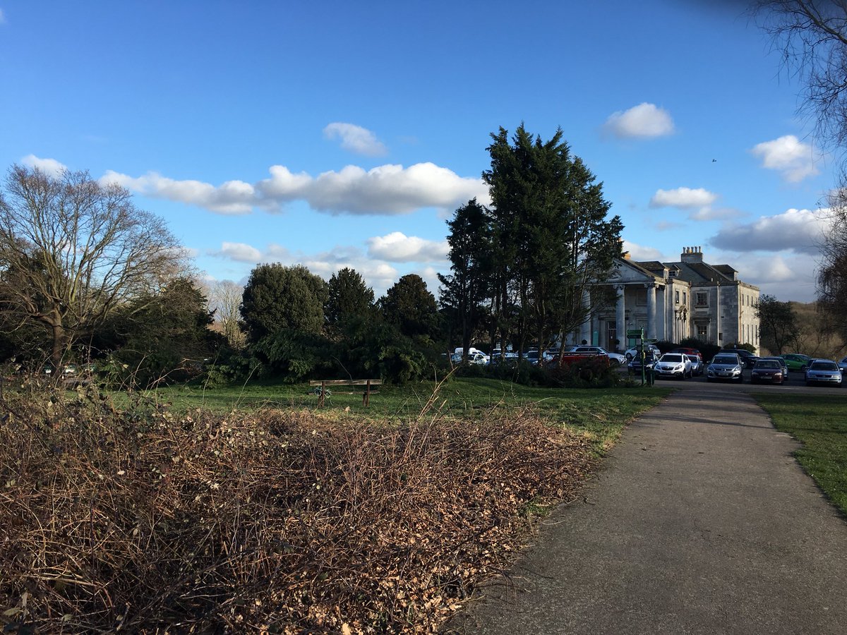 BeckenhamPlace1's tweet photo. Going...going...gone. #BeckenhamPlacePark why can’t we have trees in the park? @LewishamCouncil https://t.co/HVMaHnzAjk